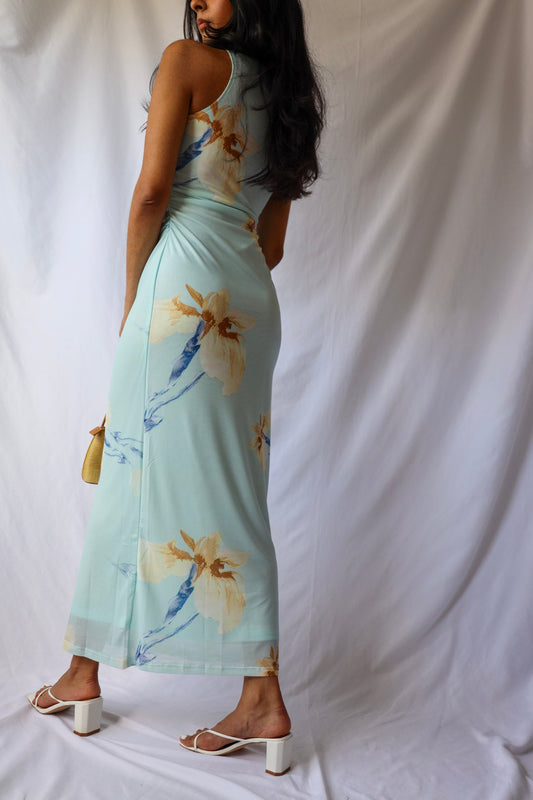 Baby Blue Mesh Floral Maxi Dress