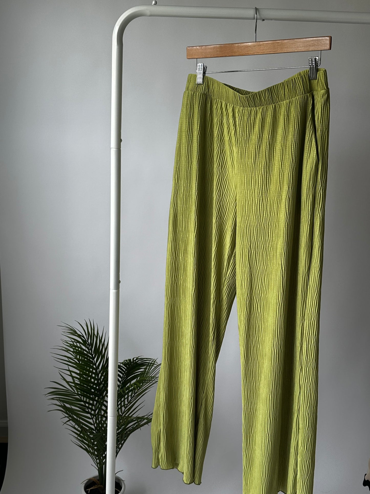 Green Pleated Pants